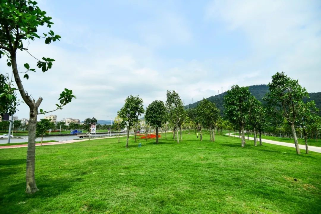 01.jpg