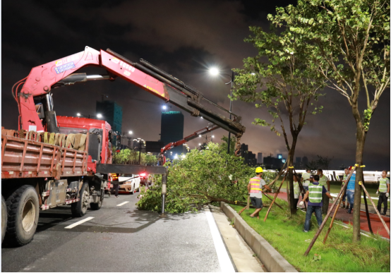 1605594918497198.png image.png