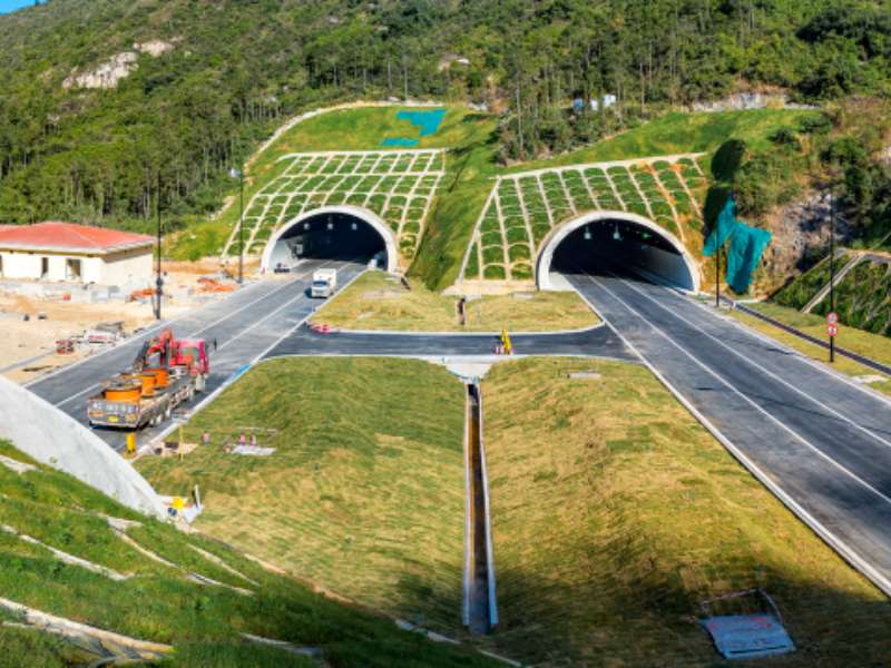 成人在线视频
山隧道