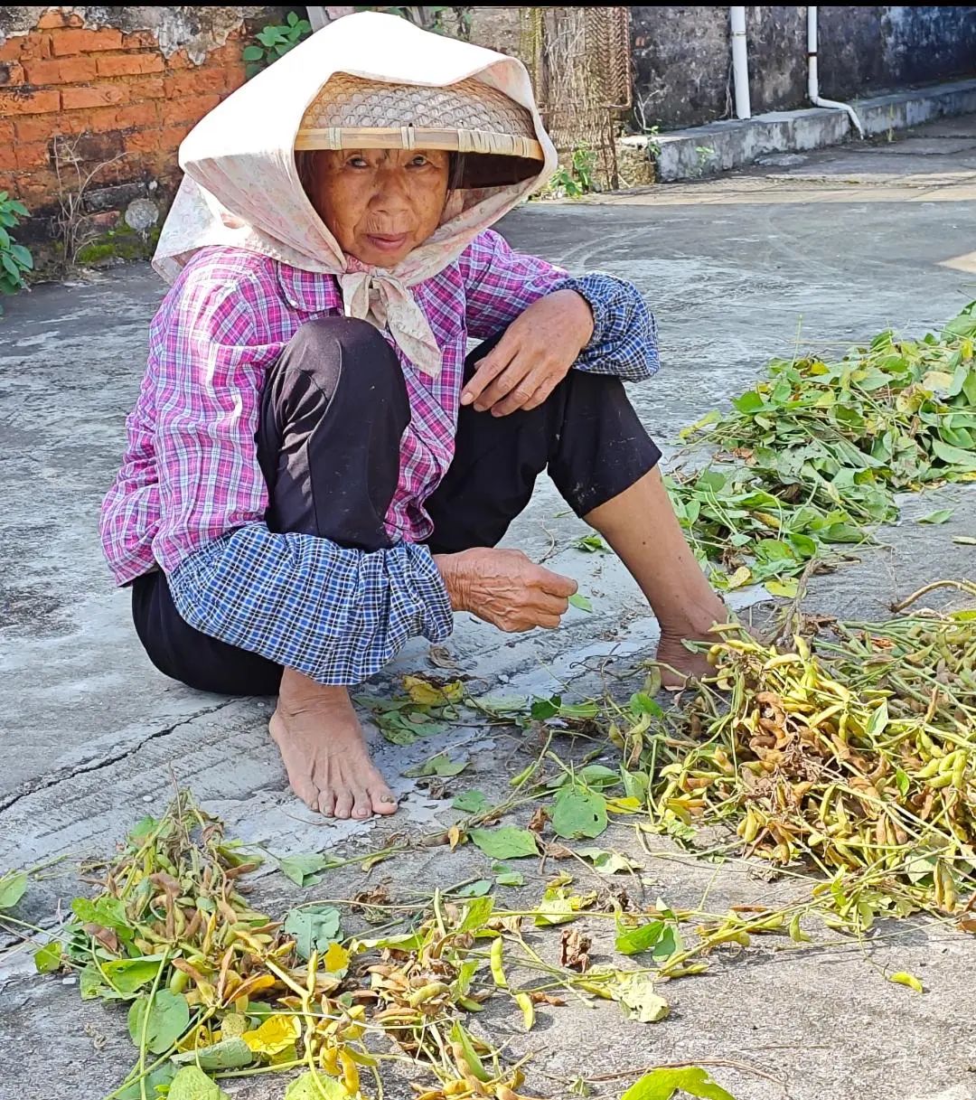 1732179198373267.jpg 43.jpg